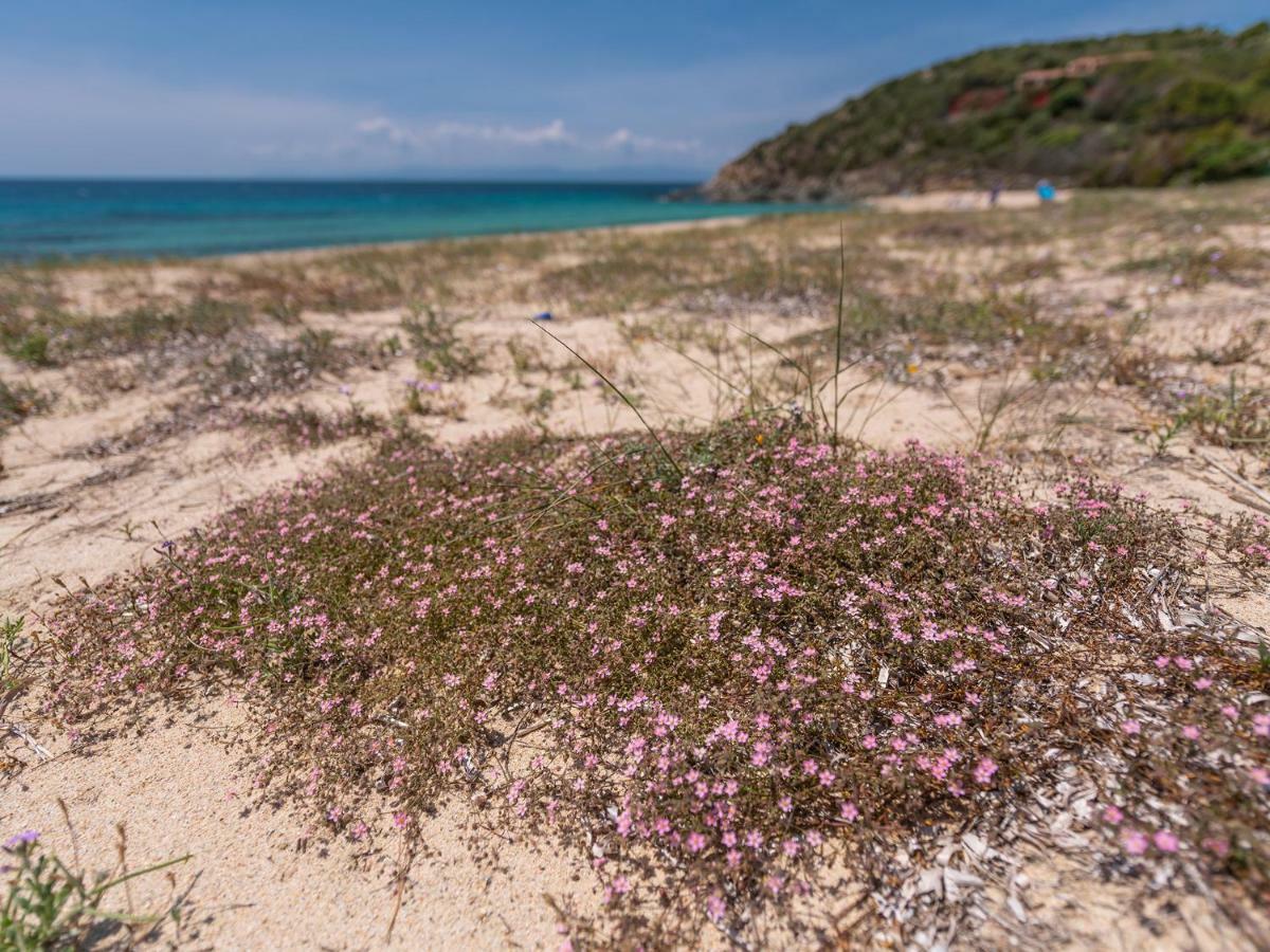 Sardinia Spa Apartment Geremèas المظهر الخارجي الصورة